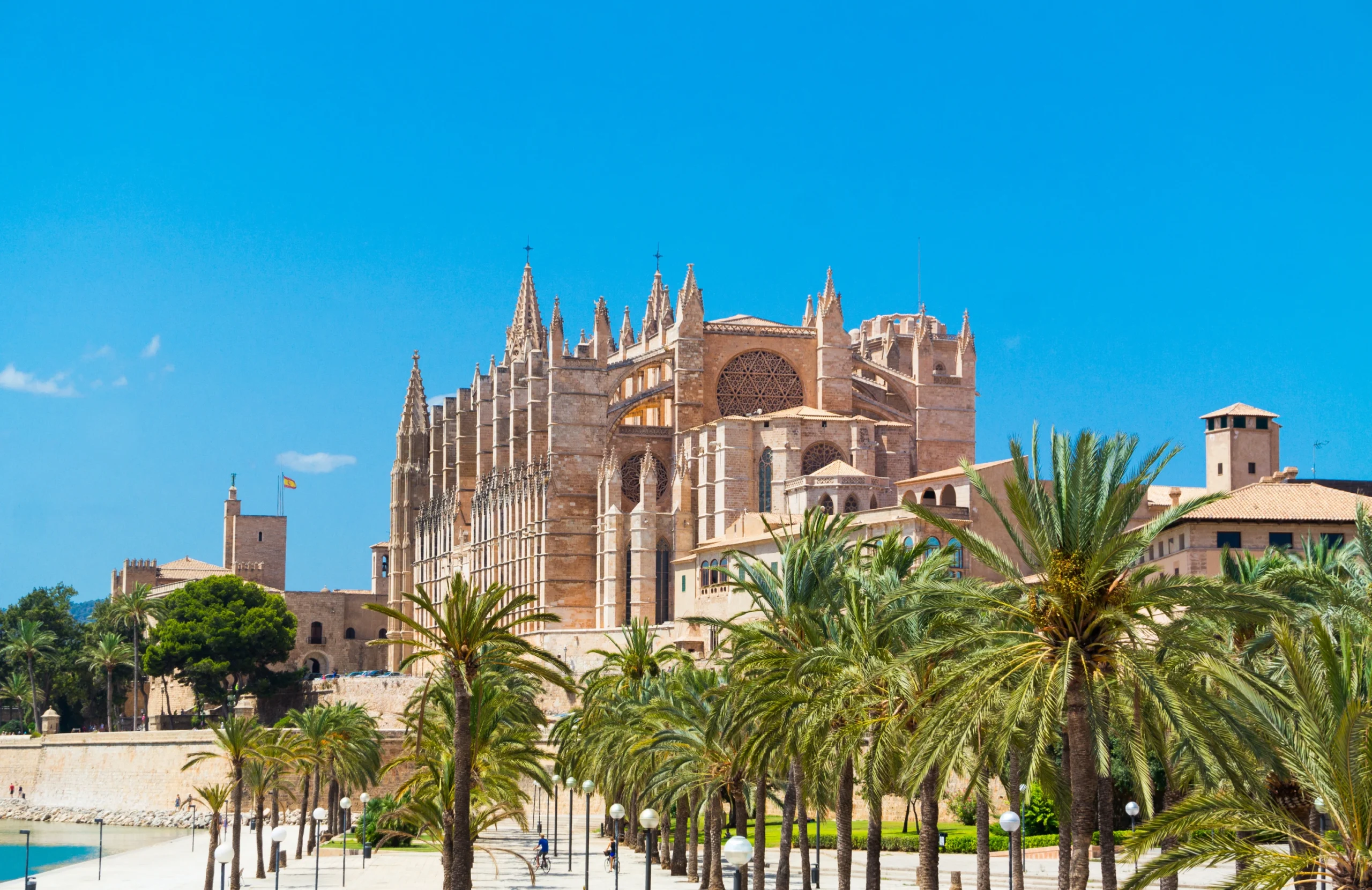 Cathédrale de Palma